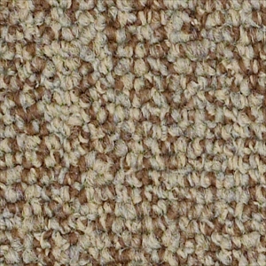 Multiplicity Tile